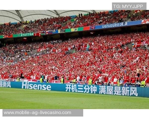 中国足球队战歌激励士气展现团结拼搏精神的力量与荣耀