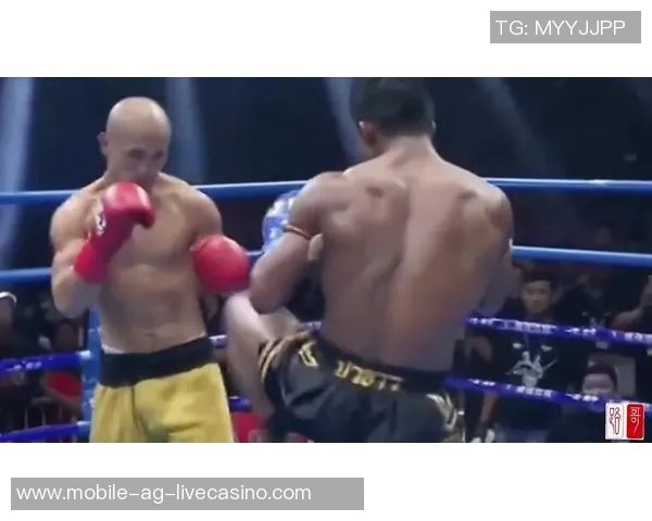 一龙与播求二番战精彩对决视频回顾及赛后分析